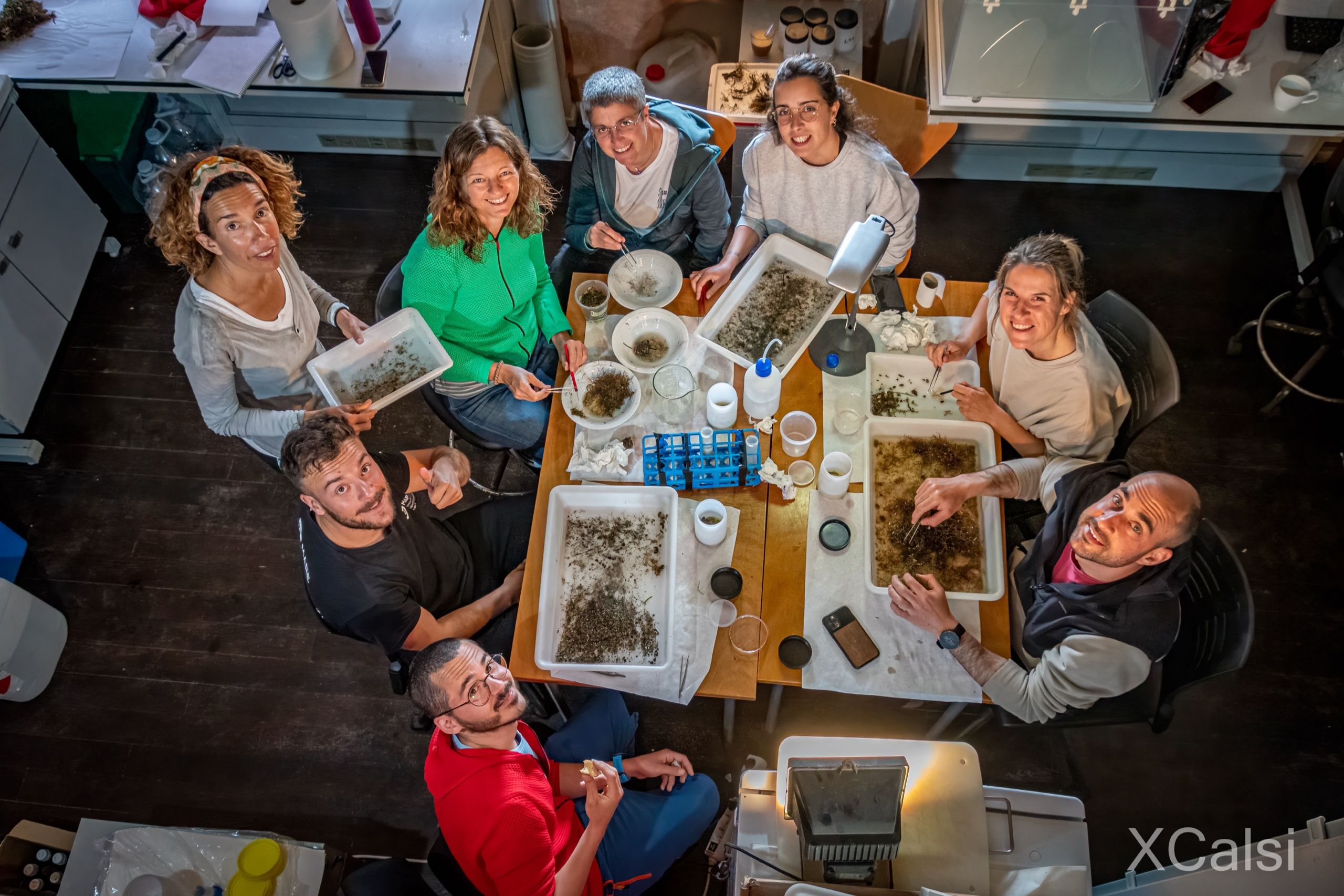 Eight members of the research group sort algae samples in trays around a laboratory table, seen from above