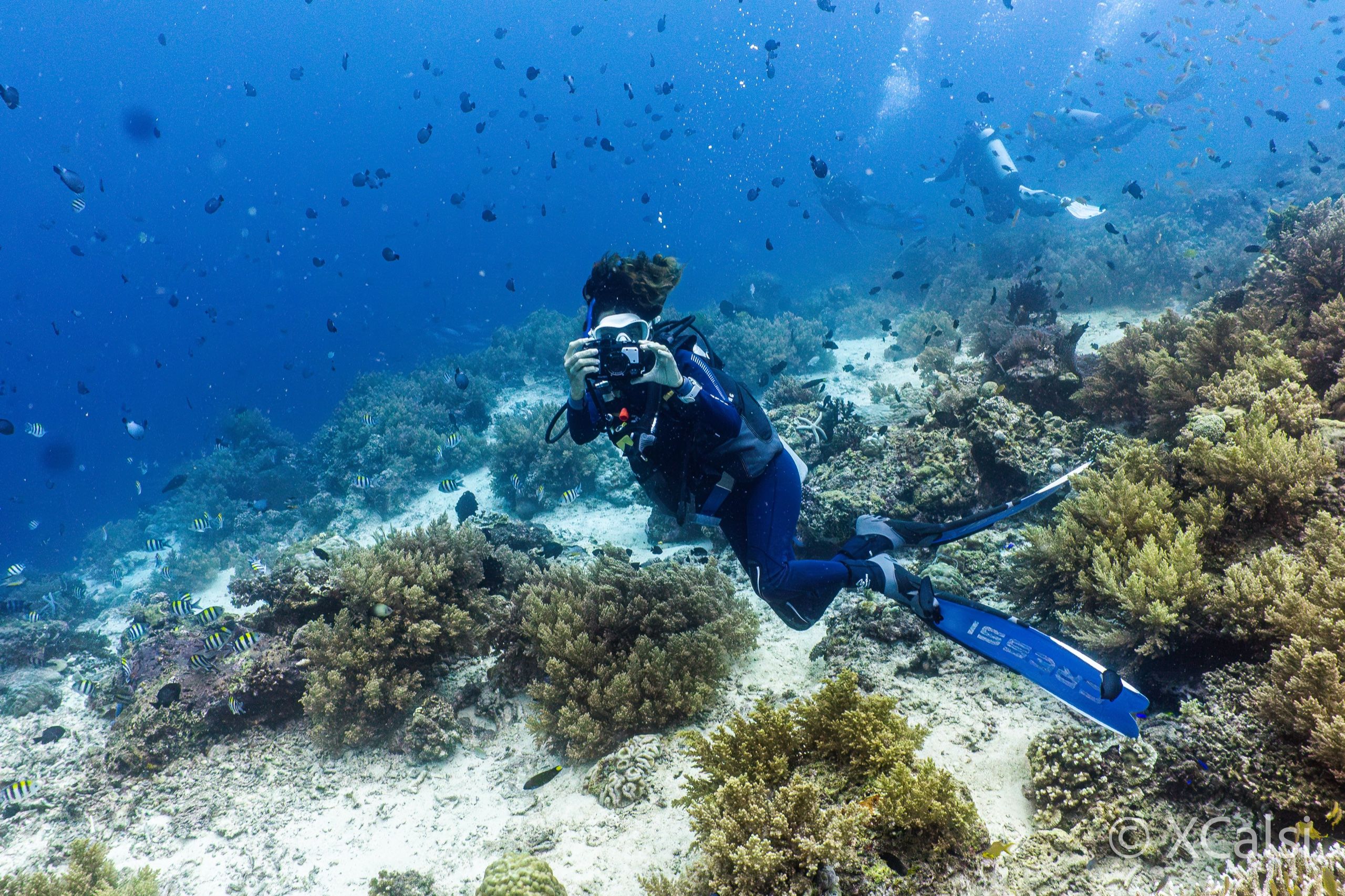 A diver photographs a coral reef surrounded by shoals of fish